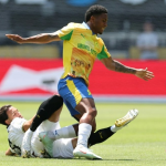 Brazilian Ribeiro wins four awards in South Africa